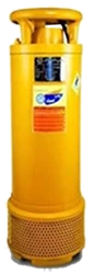 category